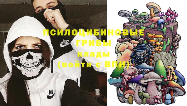 прущий лед Алексеевка